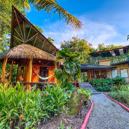 Tree House Beachfront Lodge Puerto Viejo de Talamanca Dış mekan fotoğraf