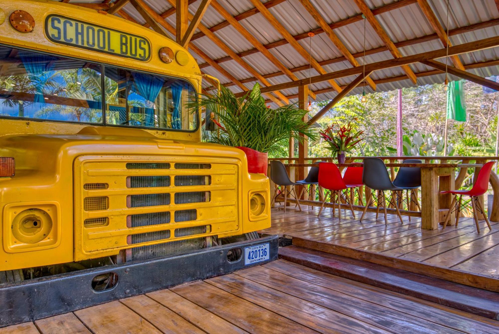 Tree House Beachfront Lodge Puerto Viejo de Talamanca Dış mekan fotoğraf