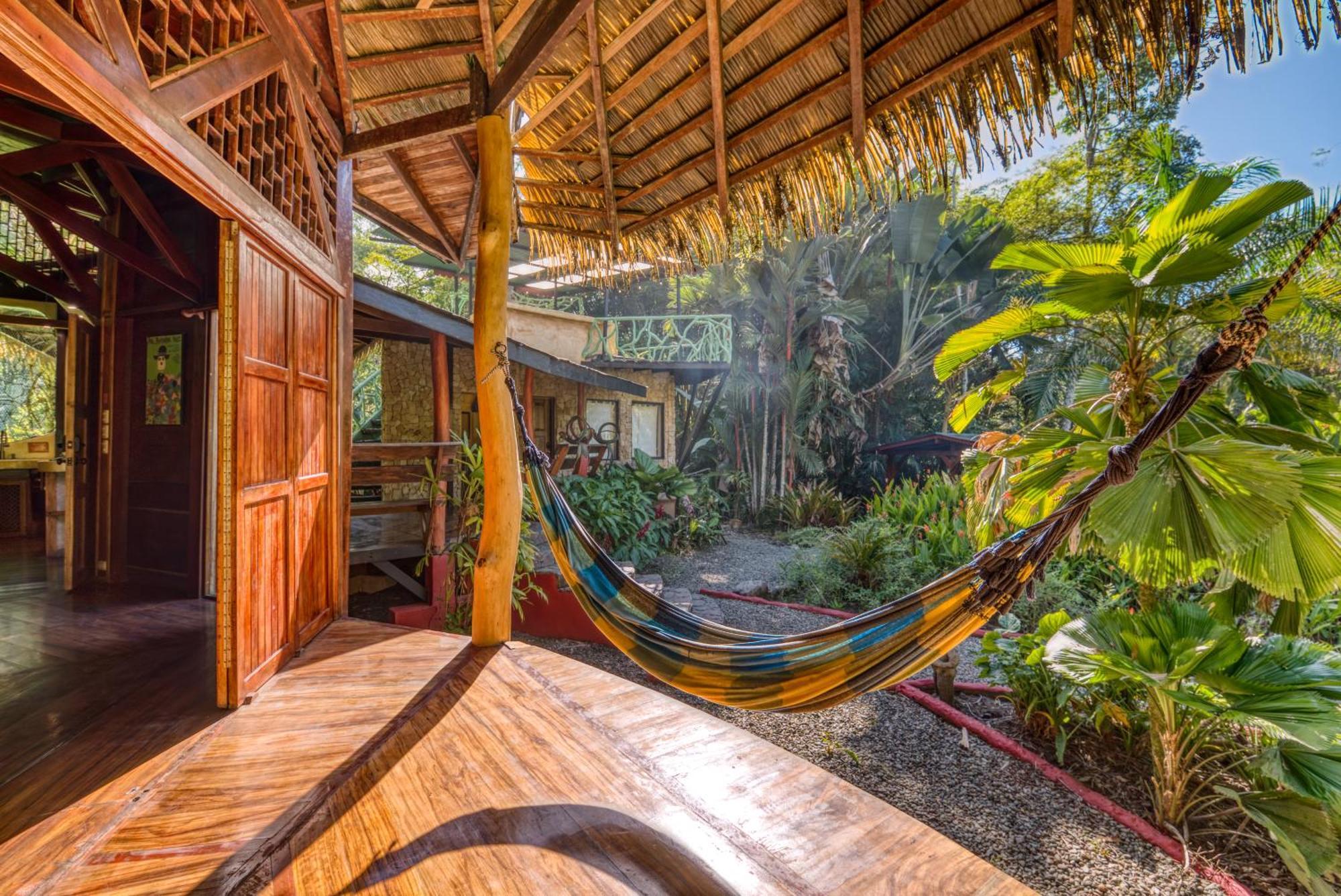 Tree House Beachfront Lodge Puerto Viejo de Talamanca Dış mekan fotoğraf