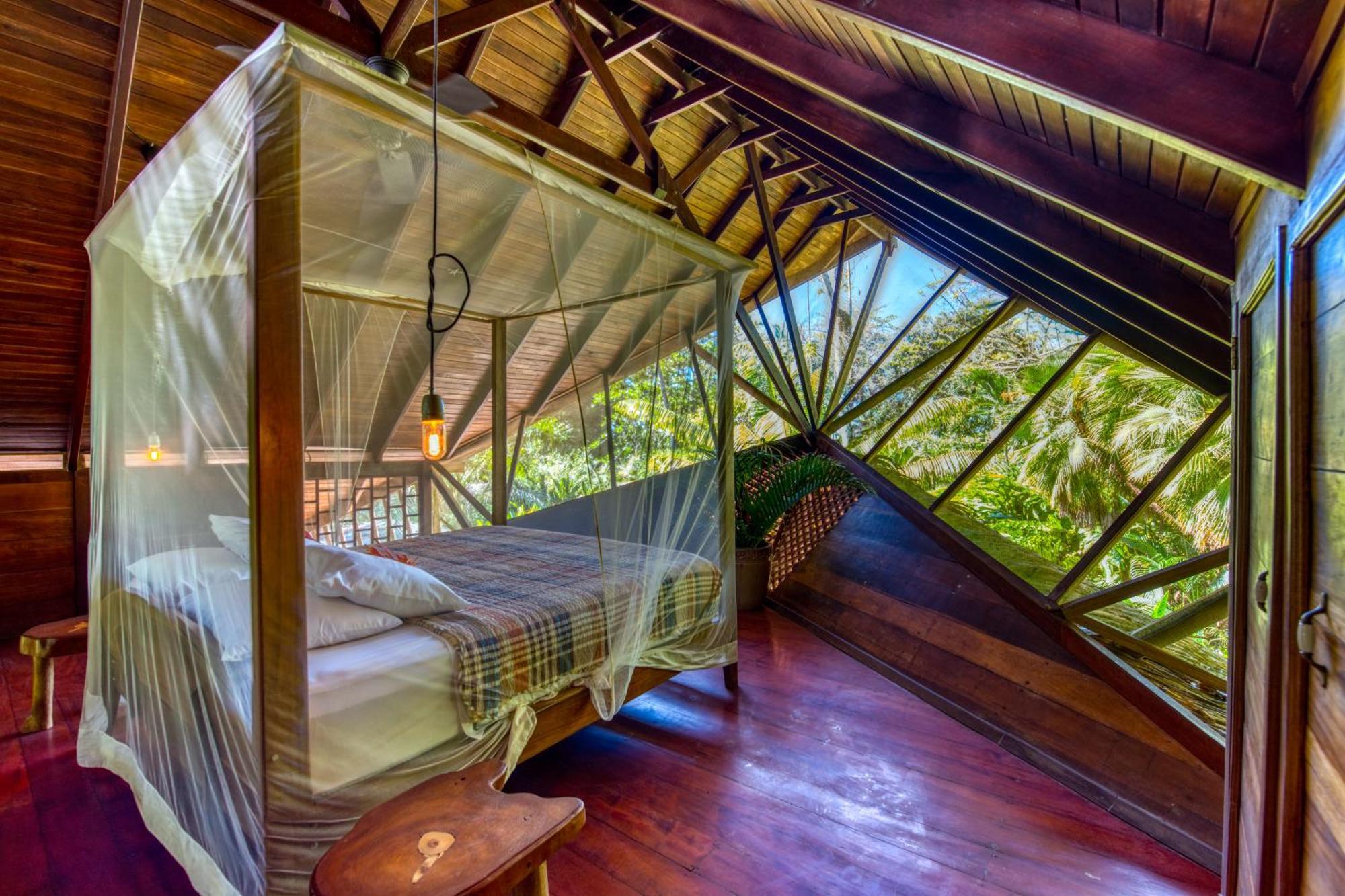 Tree House Beachfront Lodge Puerto Viejo de Talamanca Dış mekan fotoğraf