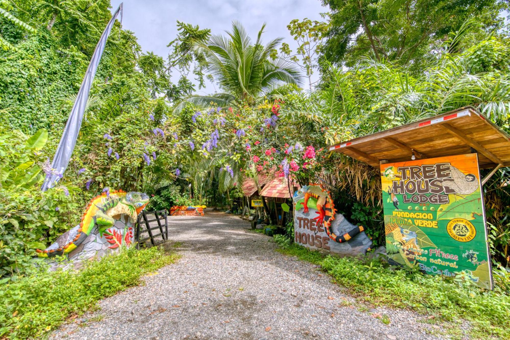 Tree House Beachfront Lodge Puerto Viejo de Talamanca Dış mekan fotoğraf