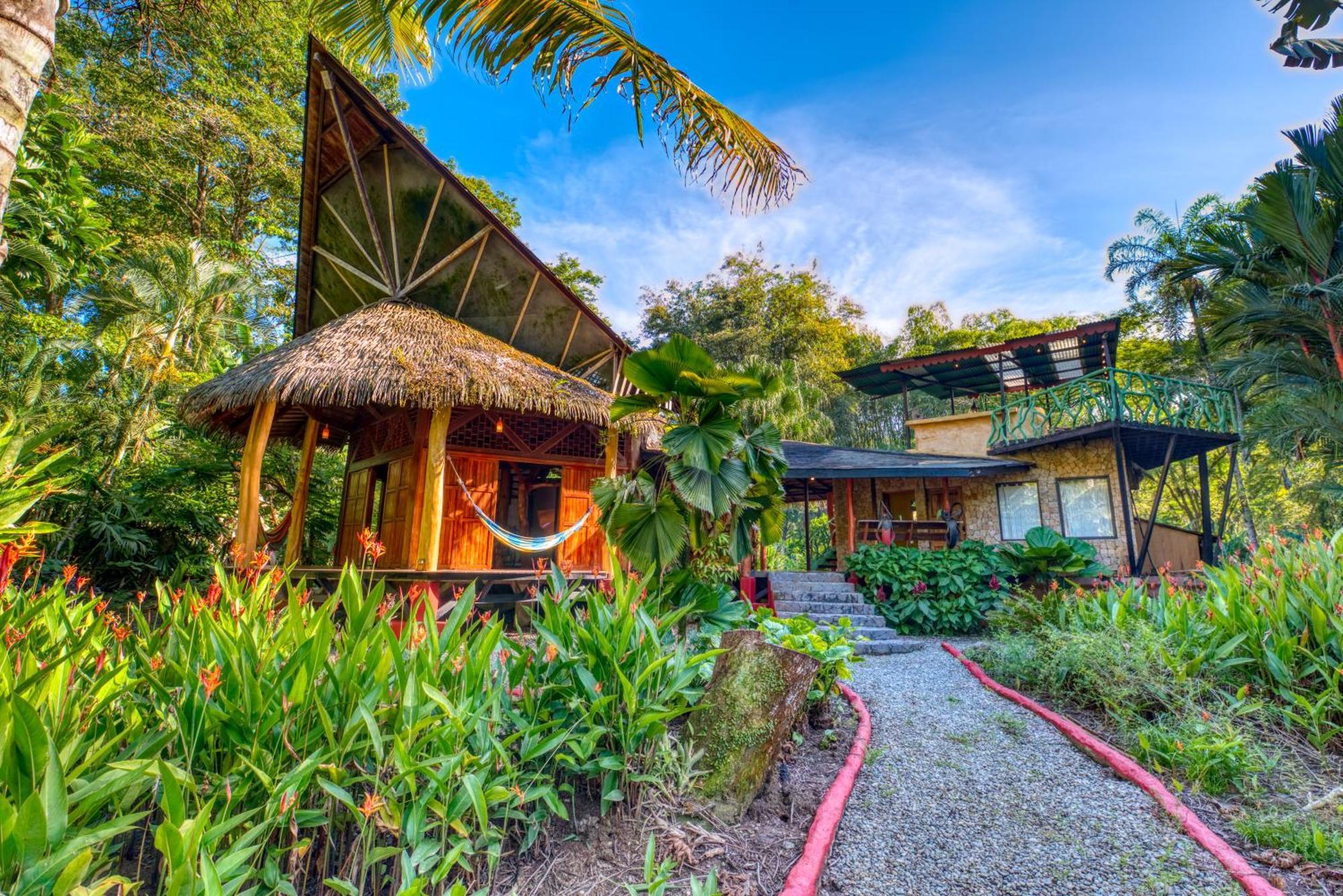Tree House Beachfront Lodge Puerto Viejo de Talamanca Dış mekan fotoğraf