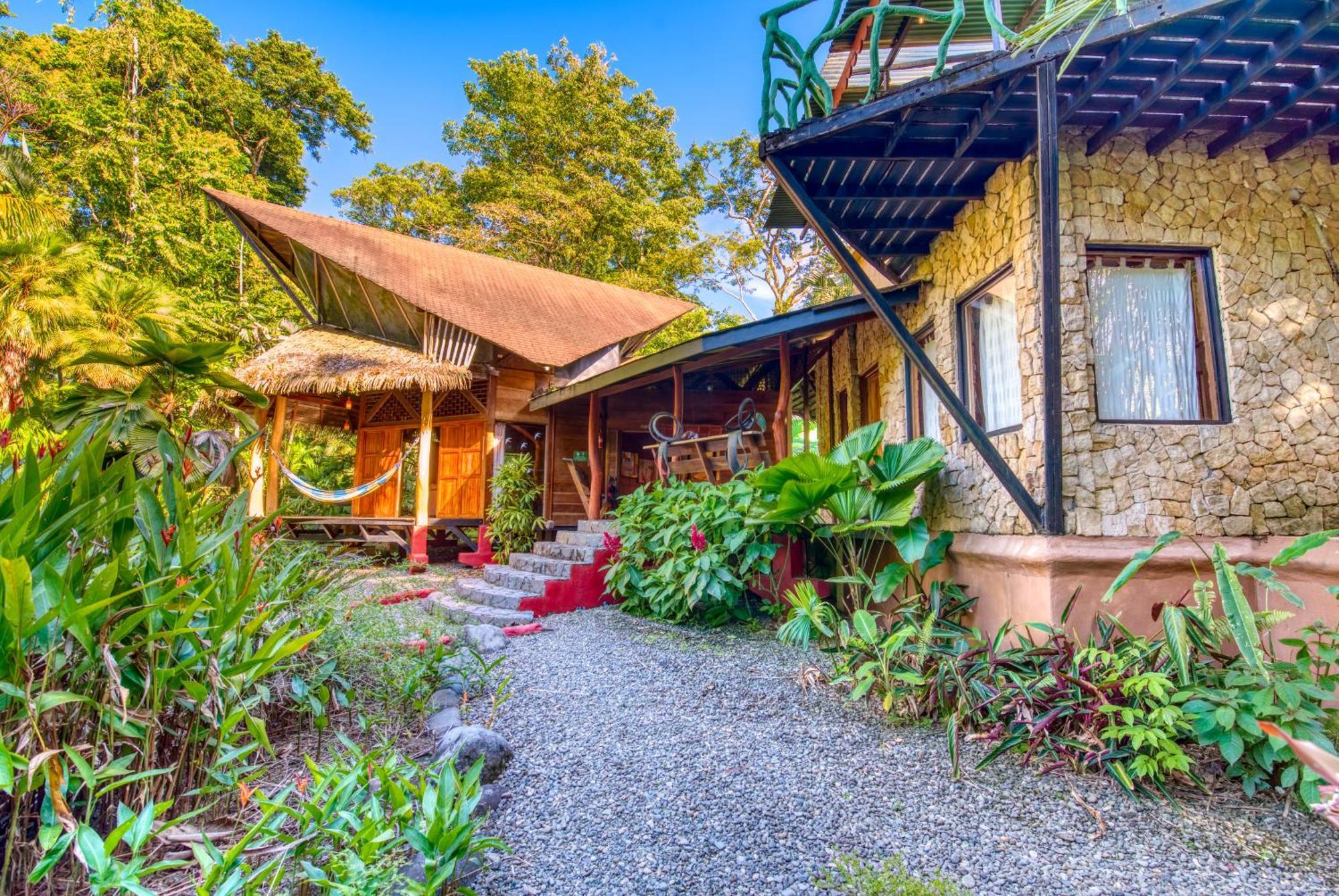 Tree House Beachfront Lodge Puerto Viejo de Talamanca Dış mekan fotoğraf
