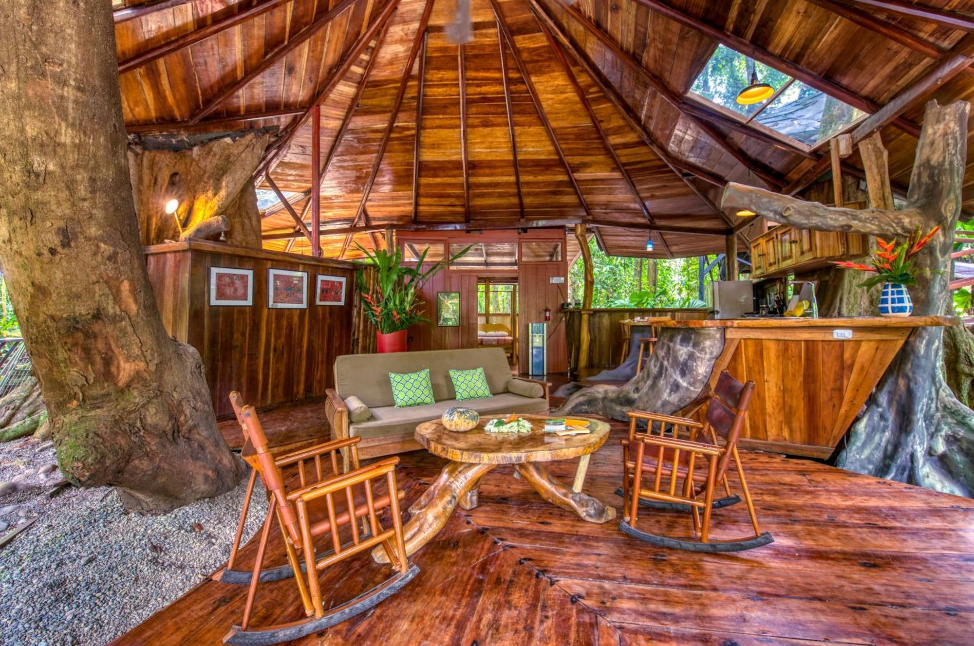 Tree House Beachfront Lodge Puerto Viejo de Talamanca Dış mekan fotoğraf