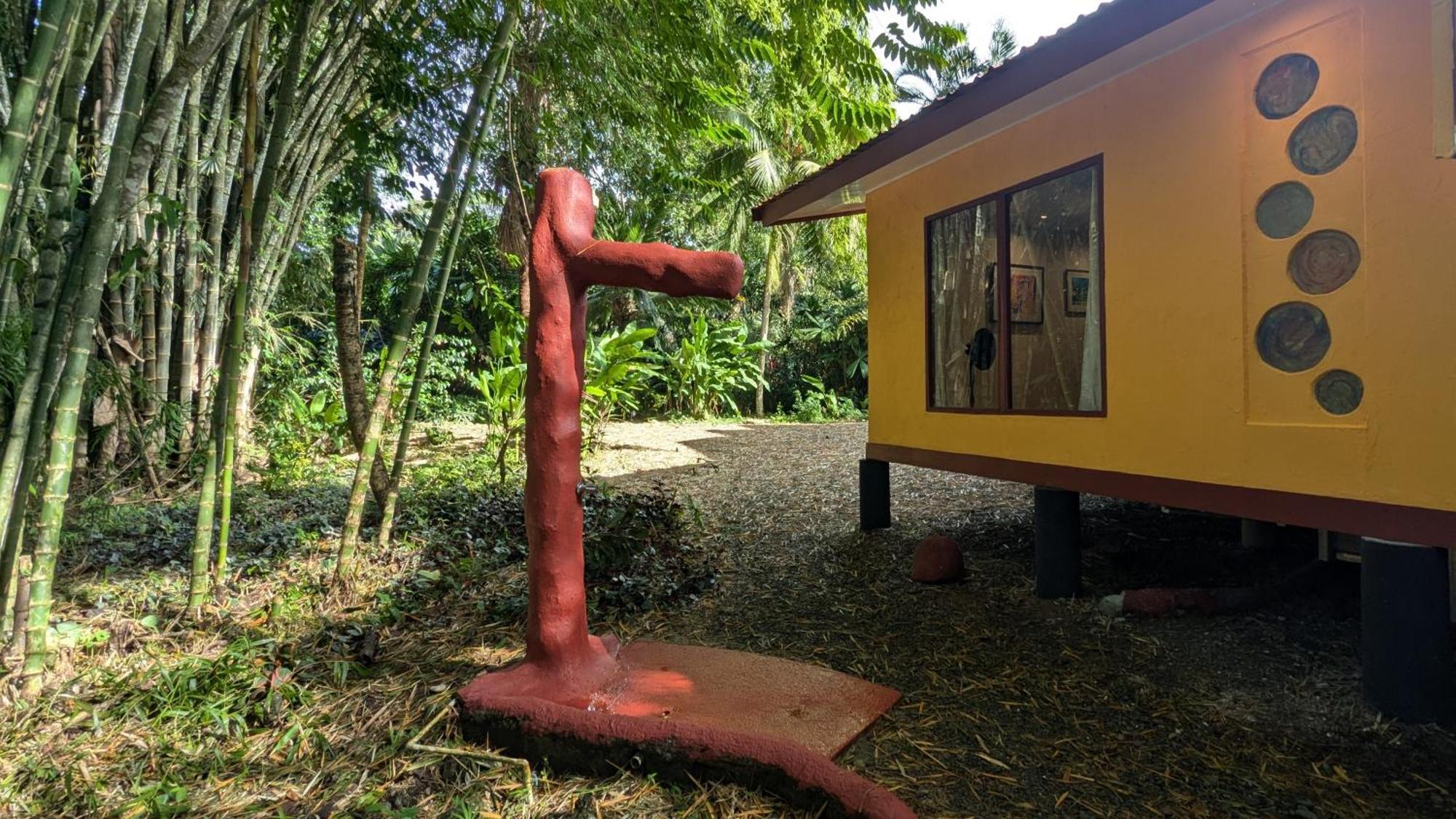 Tree House Beachfront Lodge Puerto Viejo de Talamanca Dış mekan fotoğraf