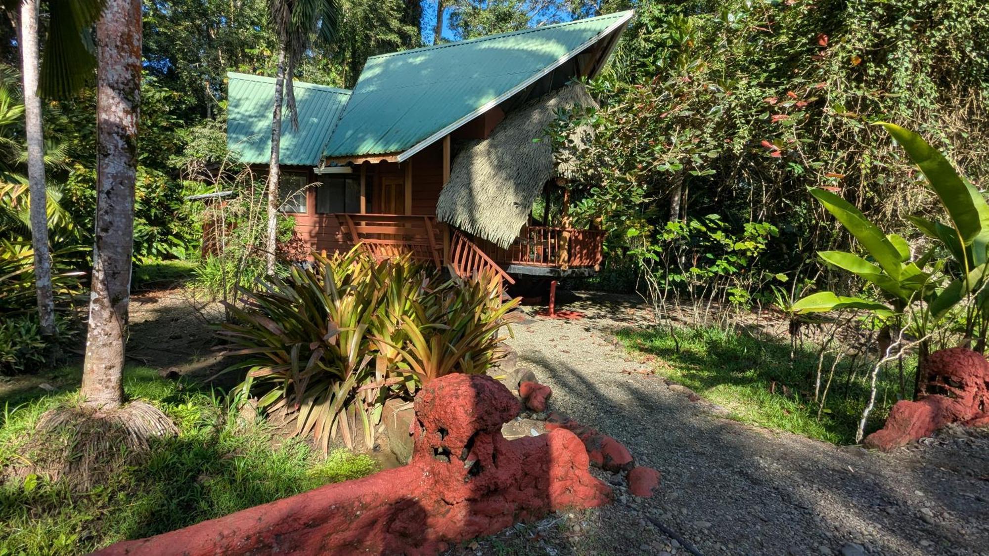 Tree House Beachfront Lodge Puerto Viejo de Talamanca Dış mekan fotoğraf