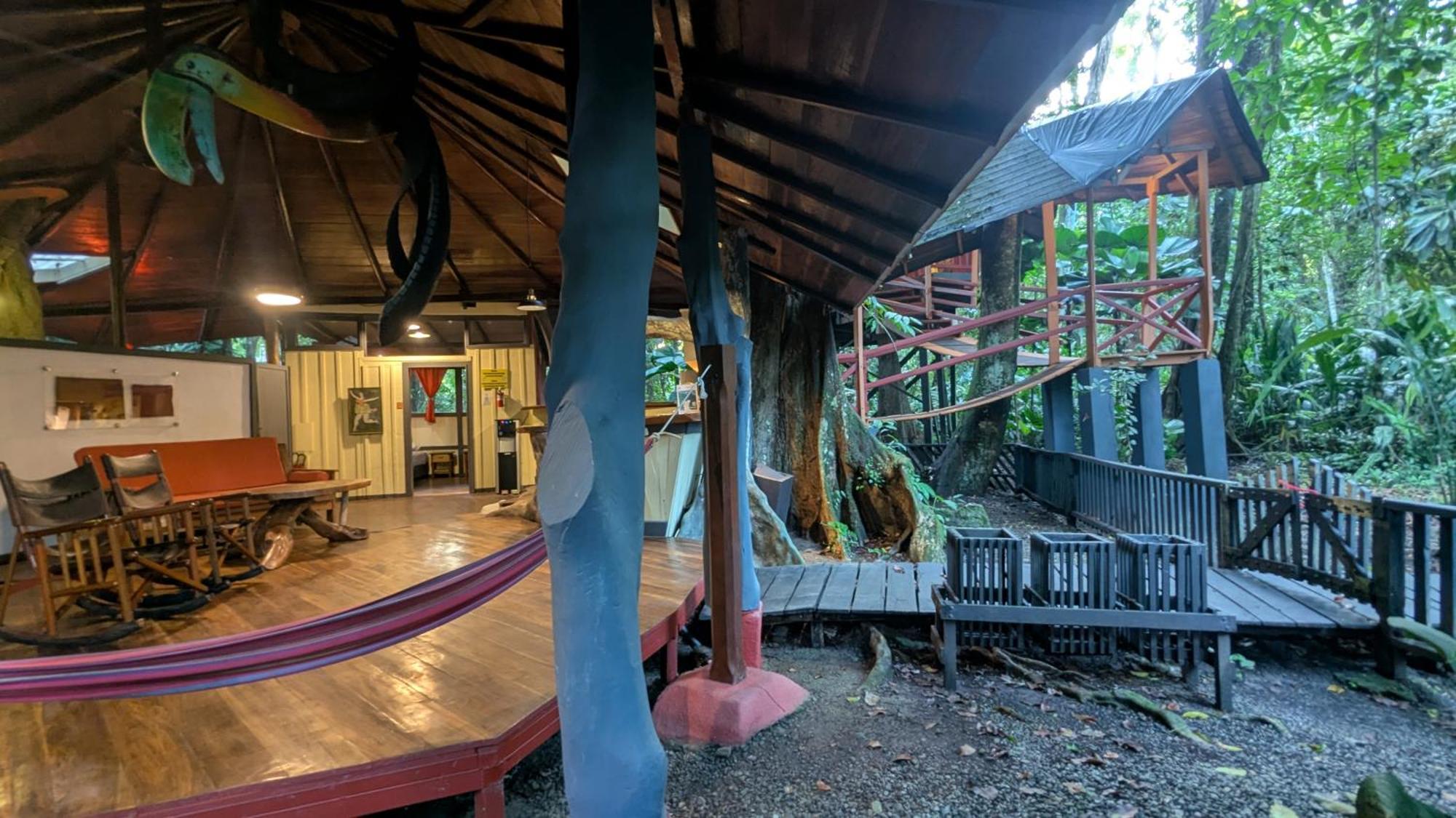 Tree House Beachfront Lodge Puerto Viejo de Talamanca Dış mekan fotoğraf