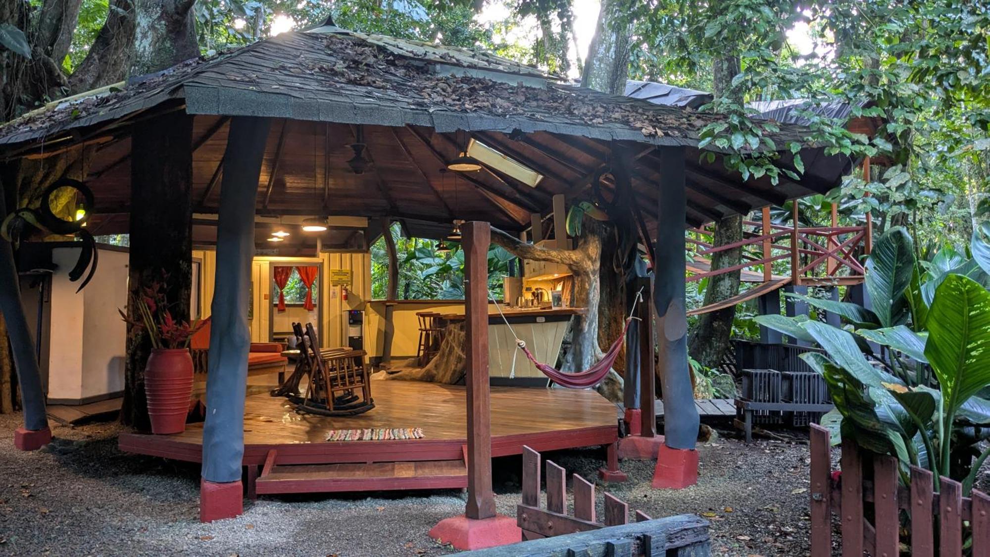 Tree House Beachfront Lodge Puerto Viejo de Talamanca Dış mekan fotoğraf