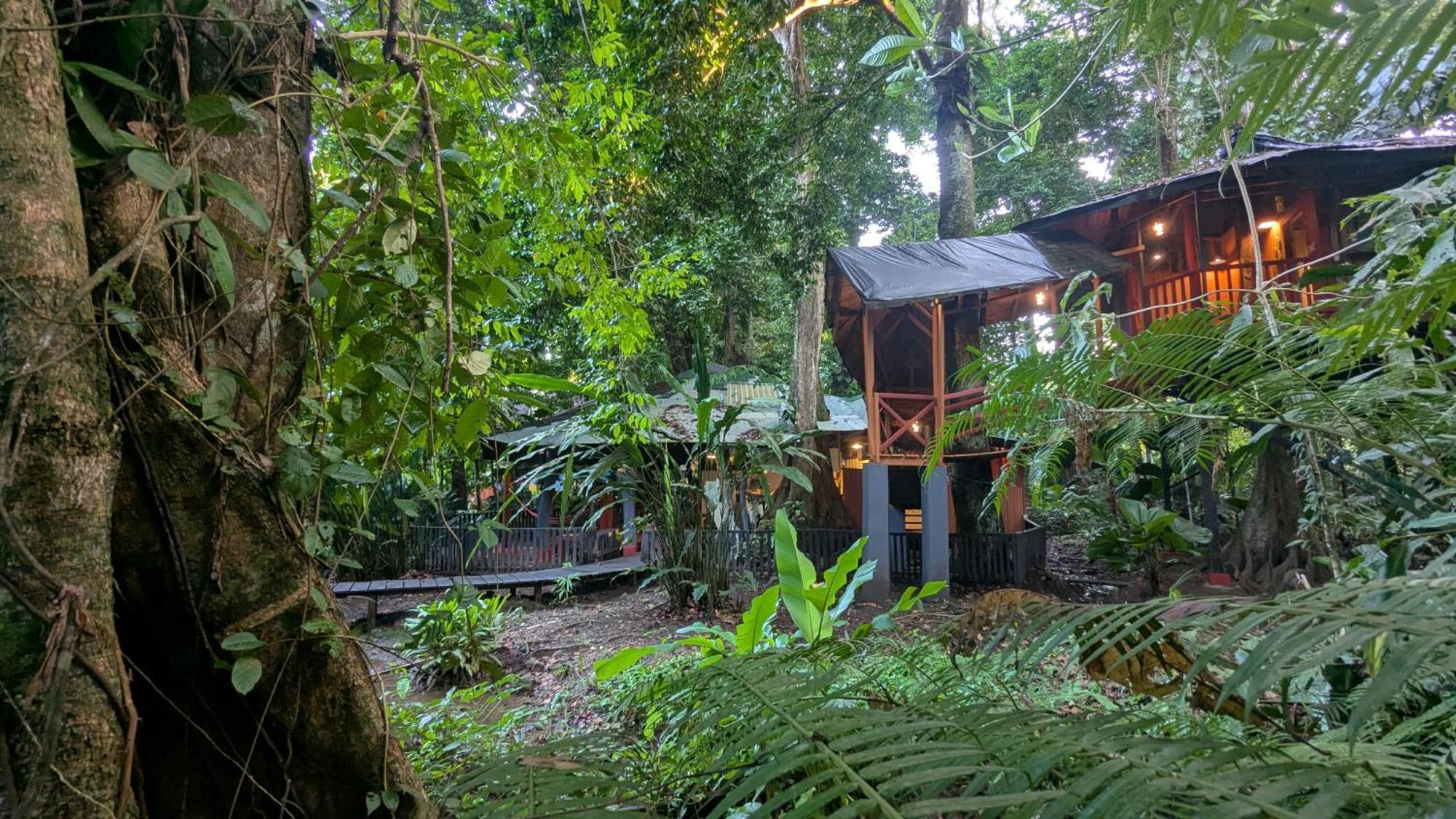 Tree House Beachfront Lodge Puerto Viejo de Talamanca Dış mekan fotoğraf