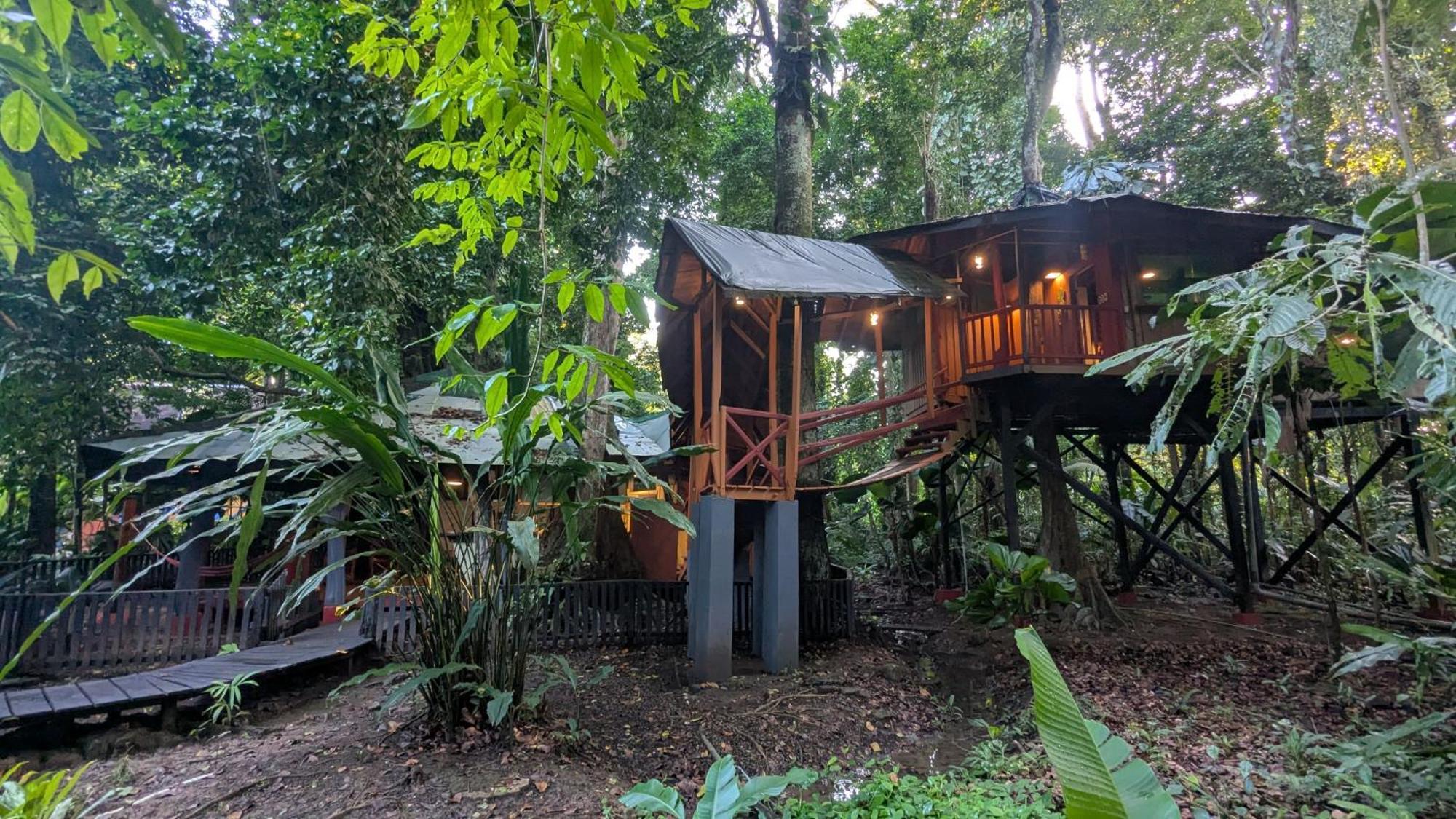 Tree House Beachfront Lodge Puerto Viejo de Talamanca Dış mekan fotoğraf