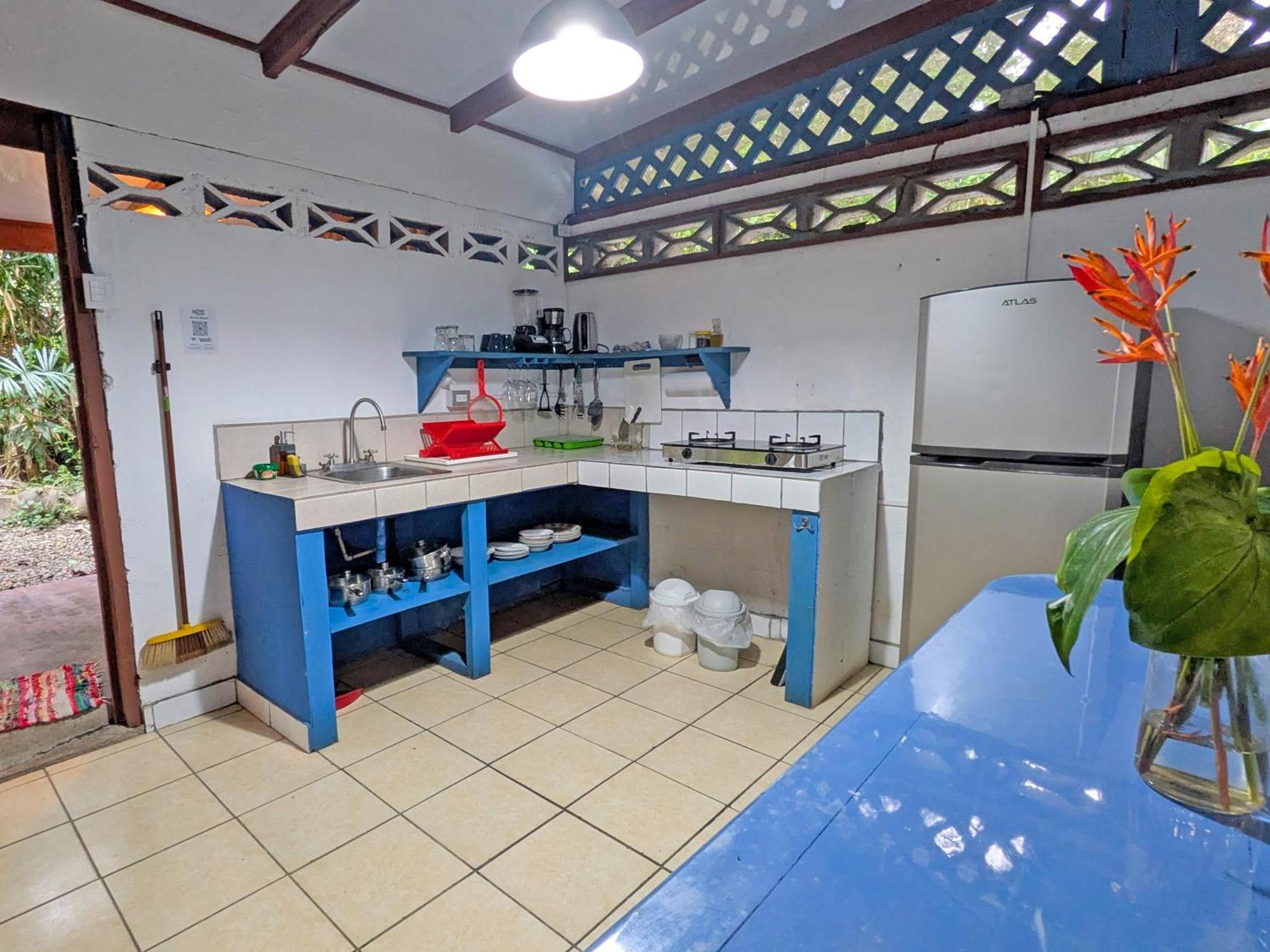 Tree House Beachfront Lodge Puerto Viejo de Talamanca Dış mekan fotoğraf